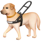 導盲犬