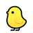 아기 병아리