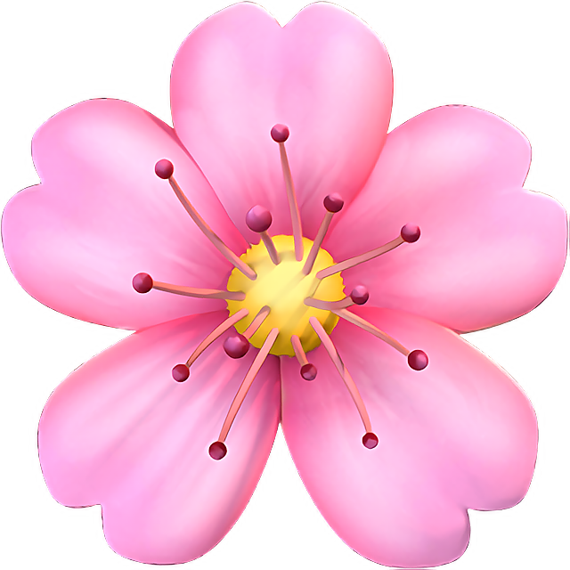 Cherry Blossom