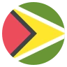 Flag: Guyana Emoji 🇬🇾 image - EmojiTwo style