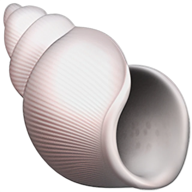 🐚 - Spiral Shell Emoji Meaning, Copy and Paste