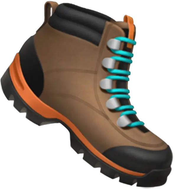 Hiking Boot