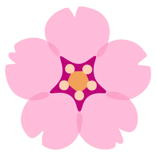 Cherry Blossom
