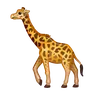 Twarz Żyrafy