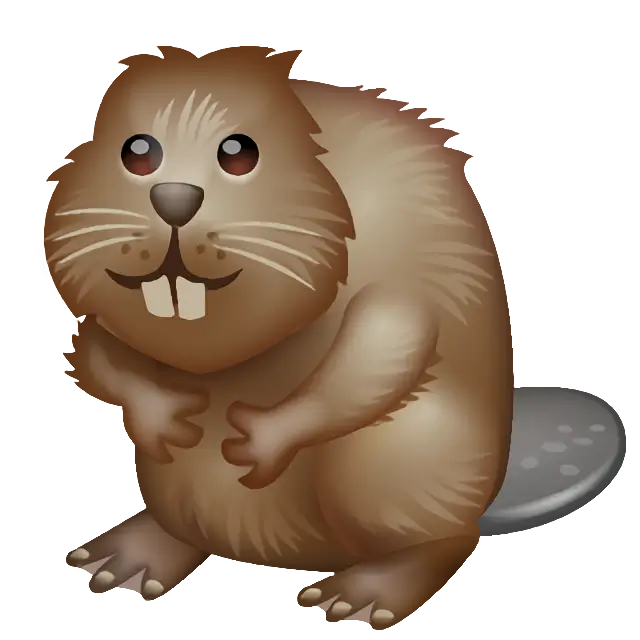 Beaver