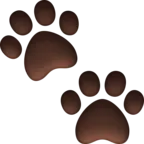 Paw Prints
