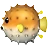Baiacu