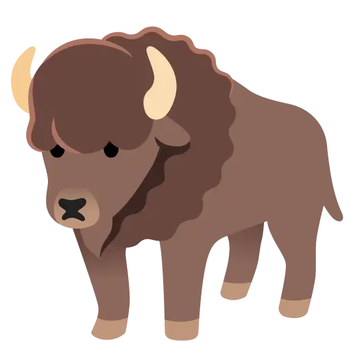 Bison