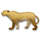 豹