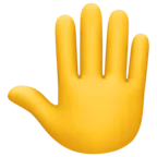 Raised Back Of Hand