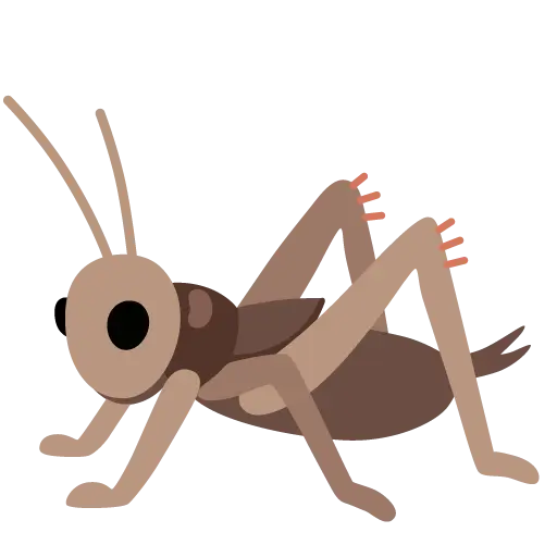 Cricket