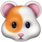 Hamster