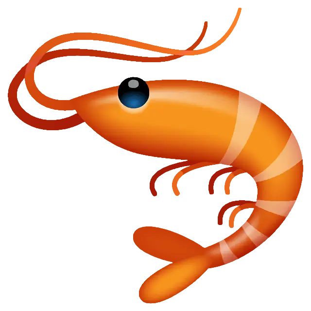 Shrimp