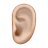 Ear: Medium-Light Skin Tone