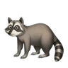 Emoji Procione 🦝 image - Huawei Harmony OS style