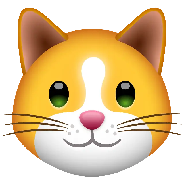 Cat Face