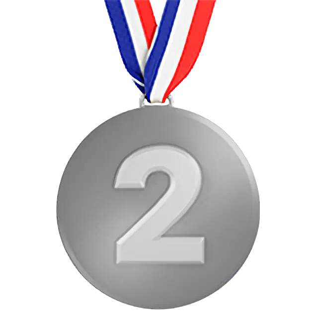 2Nd Place Medal