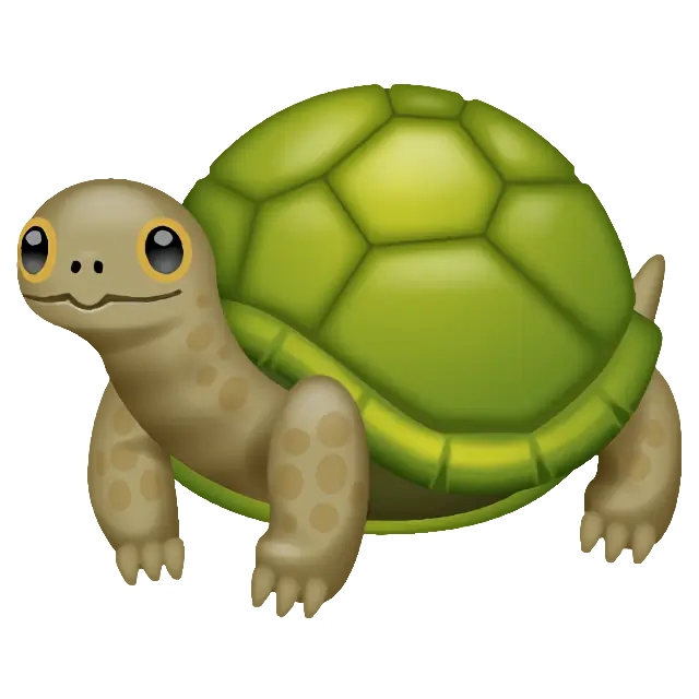 Turtle