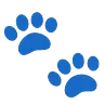 Paw Prints Emoji 🐾 image - Google Noto Color Animated style