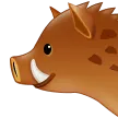 Boar