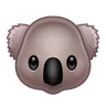 Coala
