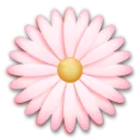 Blossom