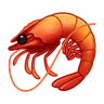Shrimp