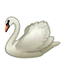 Kuğu