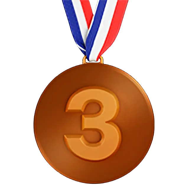 3Rd Place Medal