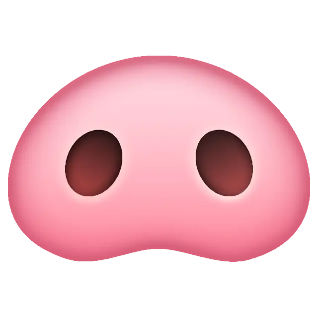 Nariz de porco