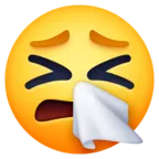 Sneezing Face