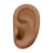 Ear: Medium-Dark Skin Tone
