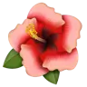 Hibiscus Emoji 🌺 image - WhatsApp style