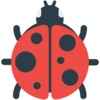 甲壳虫夫人