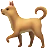 Hund