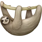 懶惰