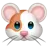 Hamster Yüzü