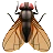 飛ぶ