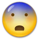 Fearful Face