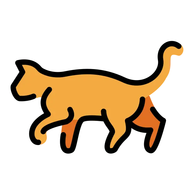 Kot