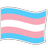 Transgender Flag