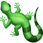 Lizard