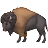 バイソン