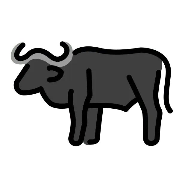 Water Buffalo