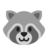 Raccoon