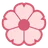 벚꽃