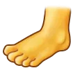 Foot