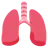 Lungs