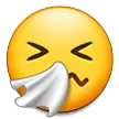 Sneezing Face