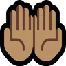Palms Up Together: Medium Skin Tone Emoji 🤲🏽 image - Microsoft Windows 10 Segoe UI Emoji style